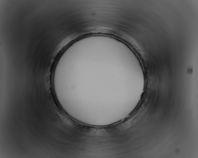 X0000102840978200809081216