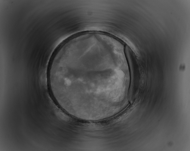 X0000102840980200809081216