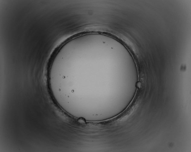 X0000102840981200809081216