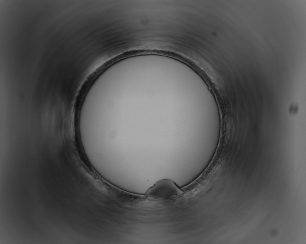 X0000102840982200809081216