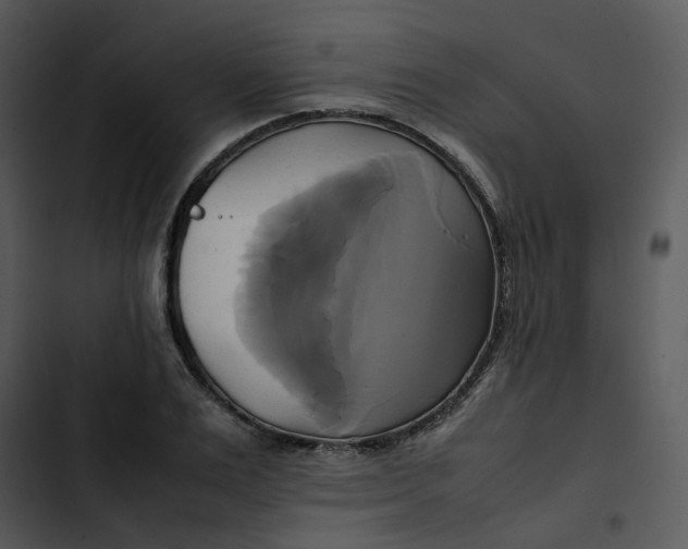 X0000102840983200809081216