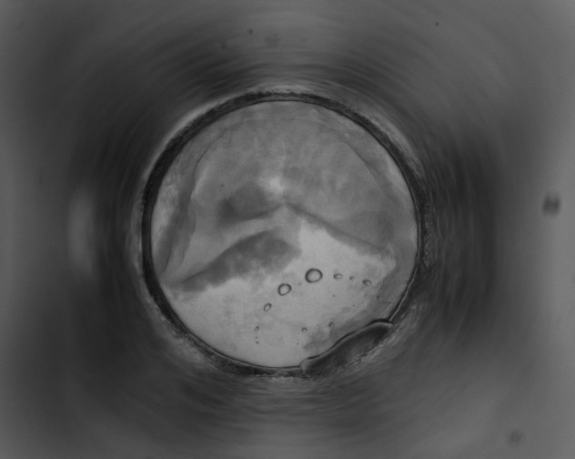 X0000102840984200809081216