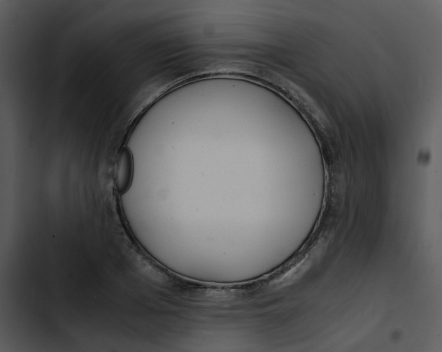 X0000102840985200809081216