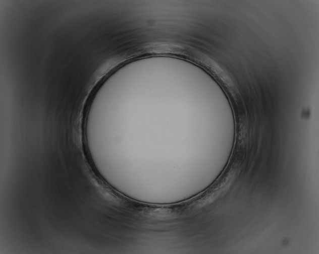 X0000102840986200809081216