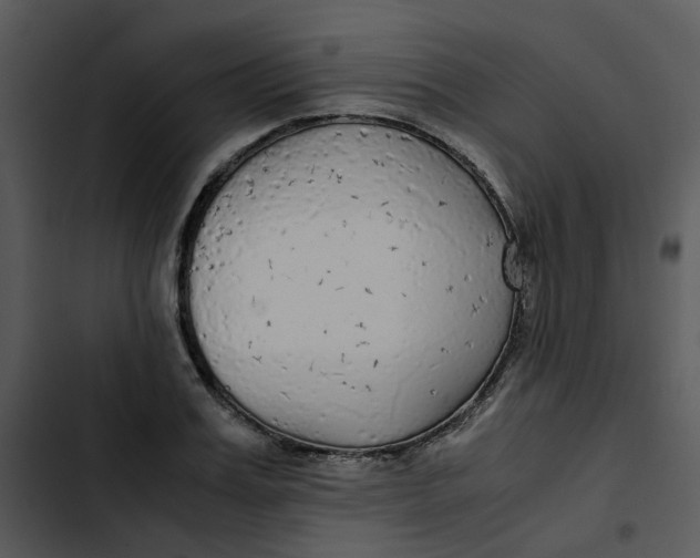 X0000102840987200809081216