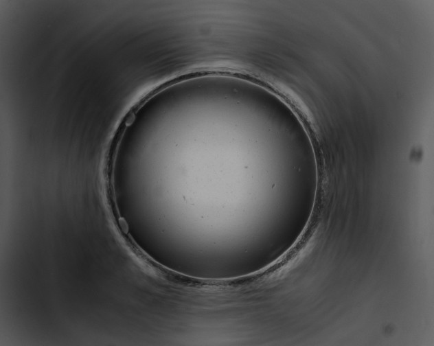 X0000102840989200809081215