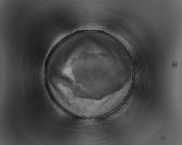 X0000102840990200809081215