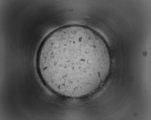 X0000102840991200809081215