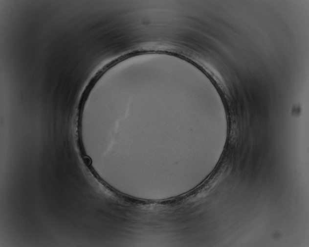 X0000102840992200809081215