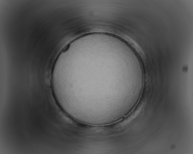 X0000102840993200809081215