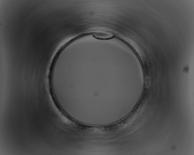 X0000102840995200809081215