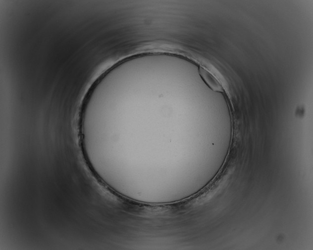 X0000102840997200809081215