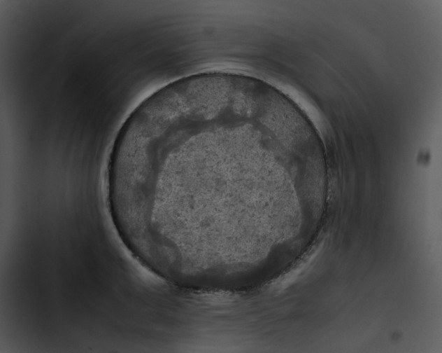 X0000102840999200809081215