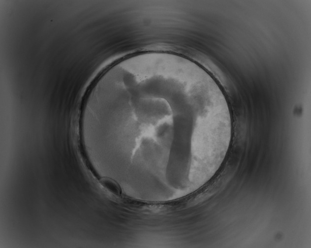 X0000102841000200809081215