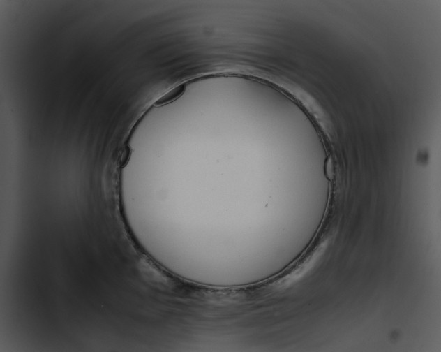 X0000102841001200809081215