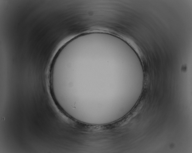 X0000102841003200809081215