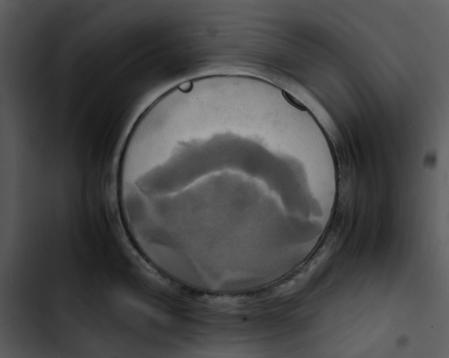 X0000102841004200809081215