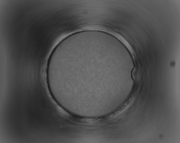 X0000102841005200809081215