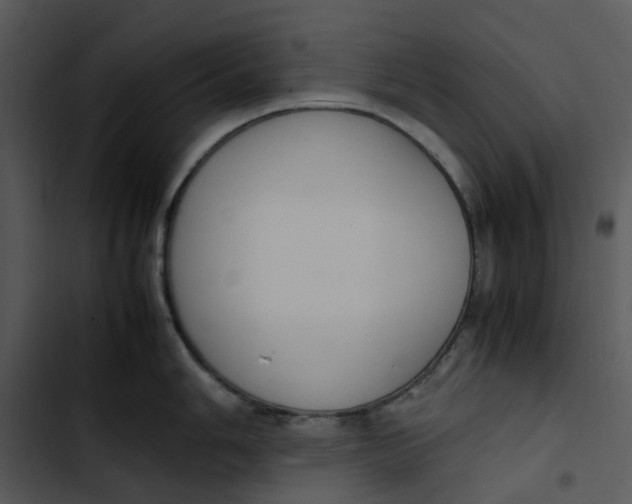 X0000102841006200809081215