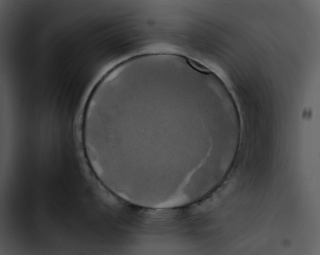 X0000102841008200809081215