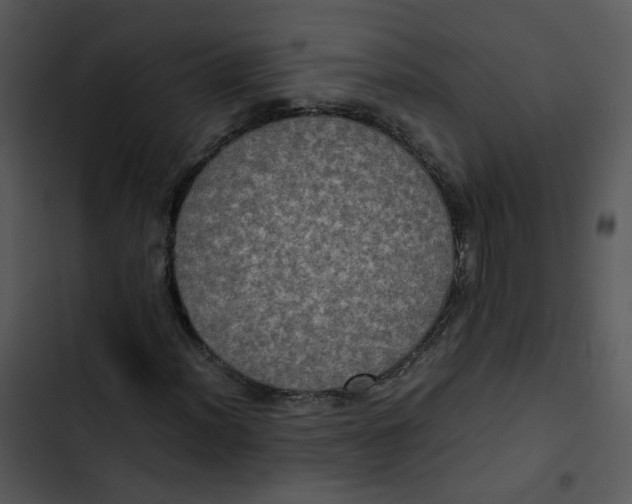 X0000102841012200809081214