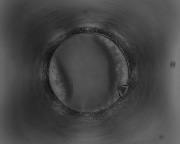 X0000102841014200809081214