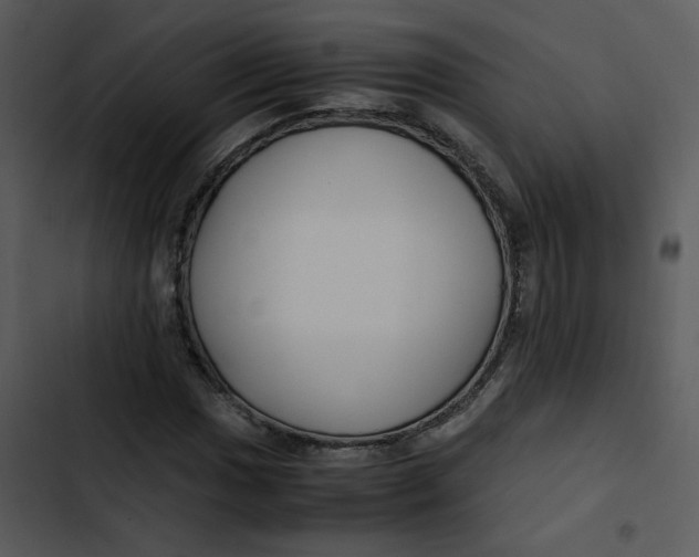 X0000102841017200809081214