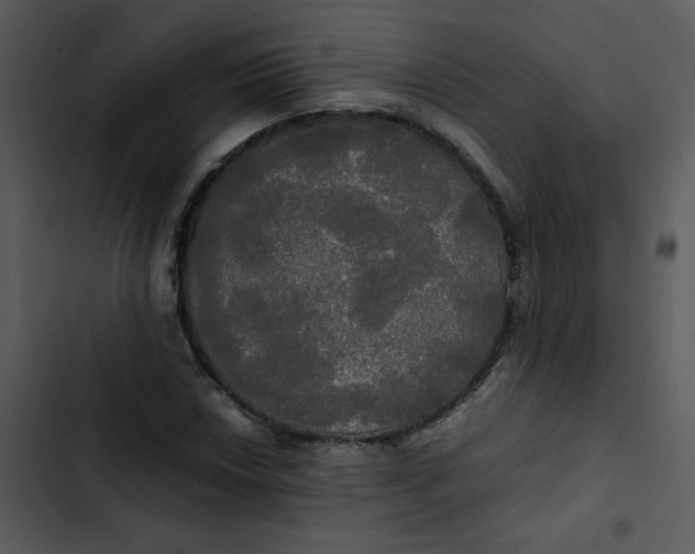 X0000102841018200809081214