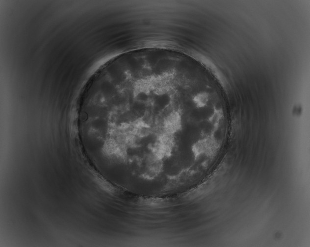 X0000102841019200809081215