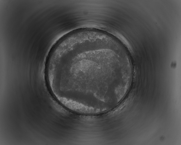 X0000102841020200809081215