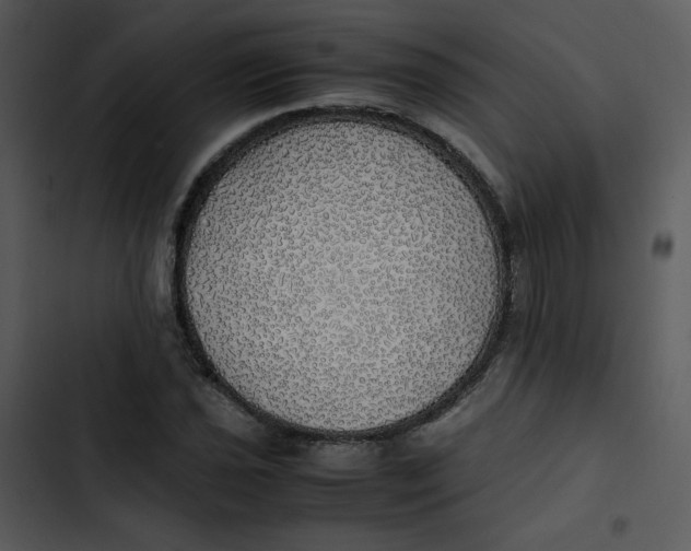 X0000102841021200809081215