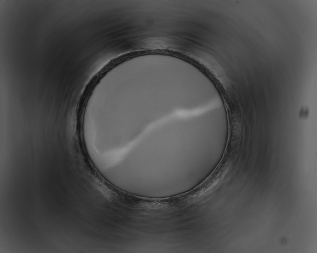 X0000102841023200809081215