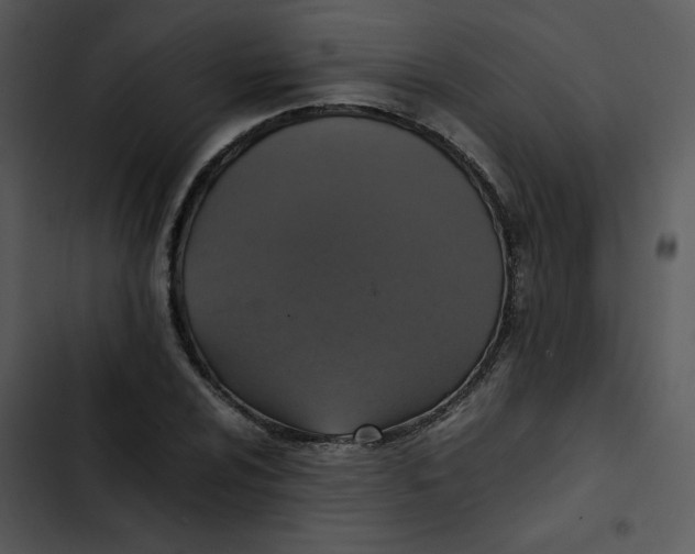 X0000102841024200809081215