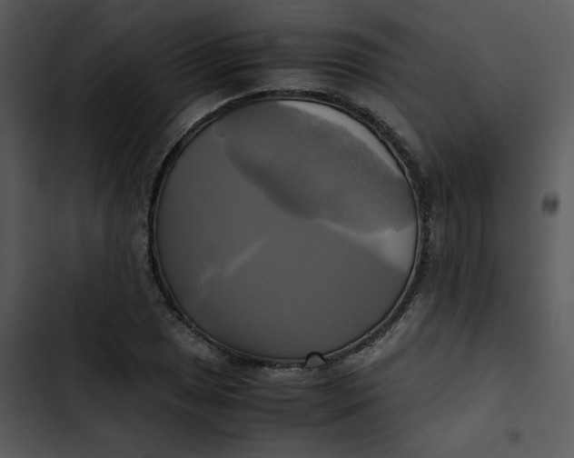 X0000102841025200809081215