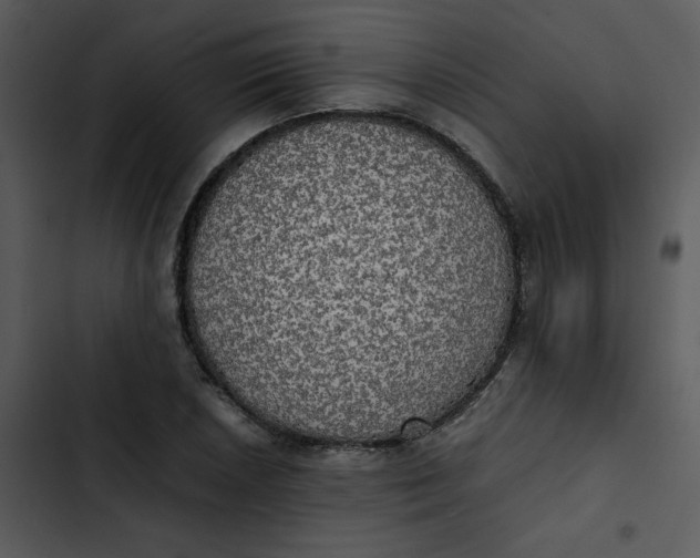 X0000102841026200809081215