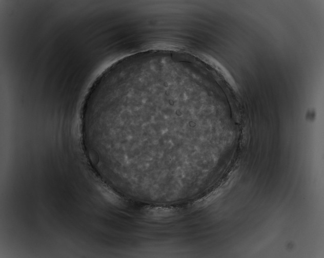 X0000102841027200809081215