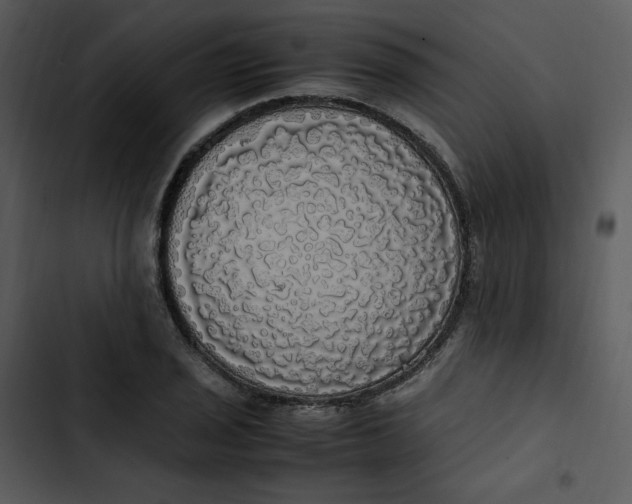 X0000102841029200809081215