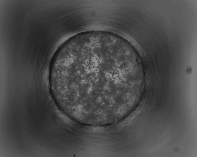 X0000102841030200809081215