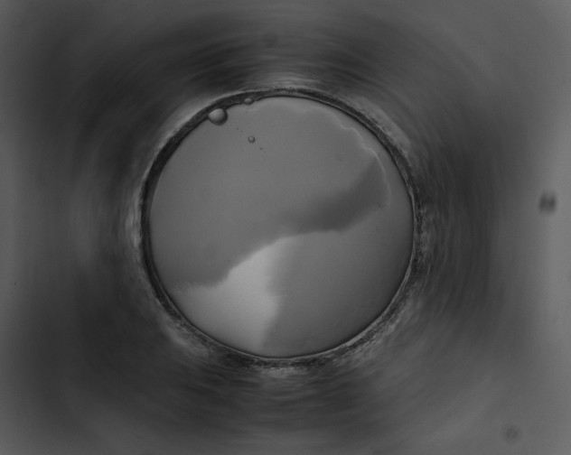 X0000102841031200809081215