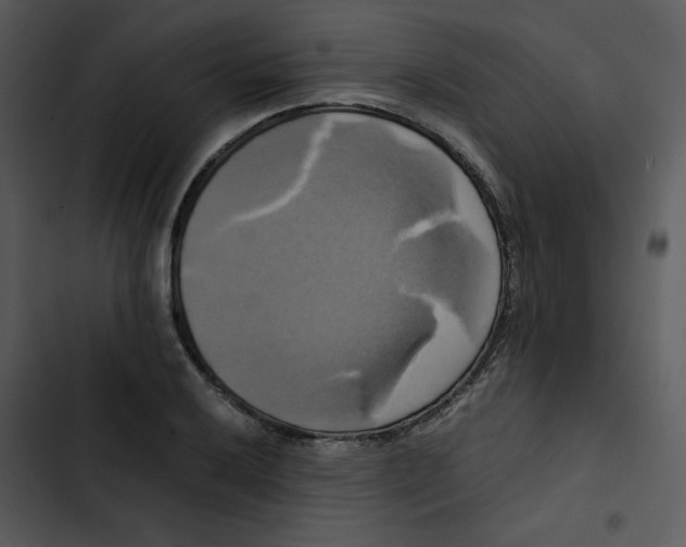 X0000102841032200809081215