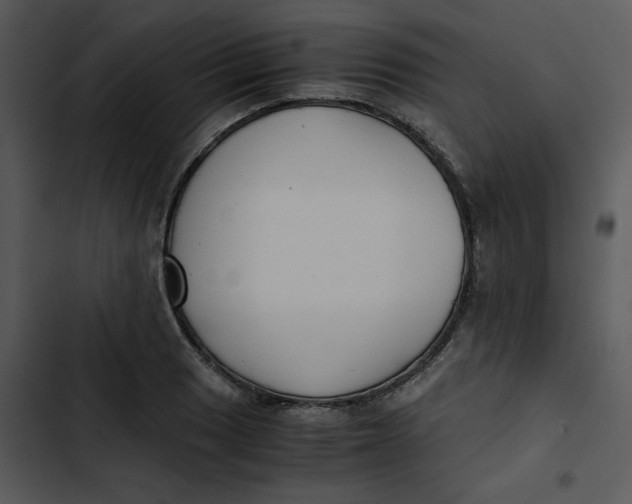 X0000102841033200809081215