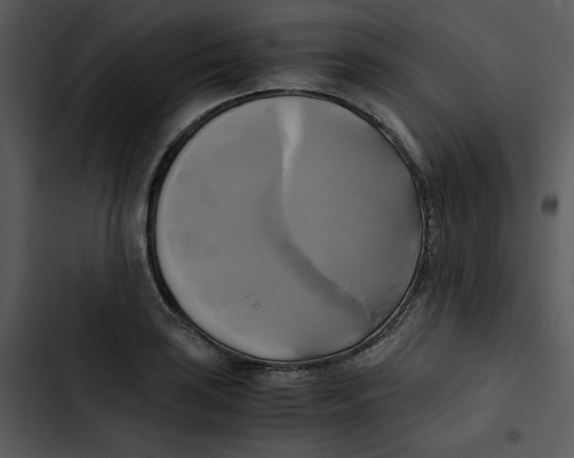 X0000102841035200809081215