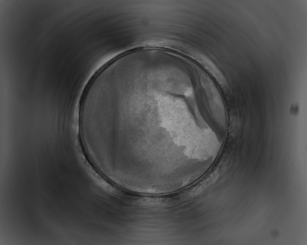 X0000102841036200809081215