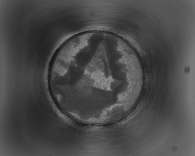 X0000102841038200809081215