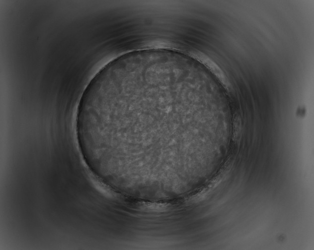 X0000102841039200809081215