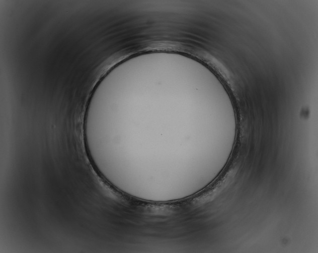 X0000102841041200809081215