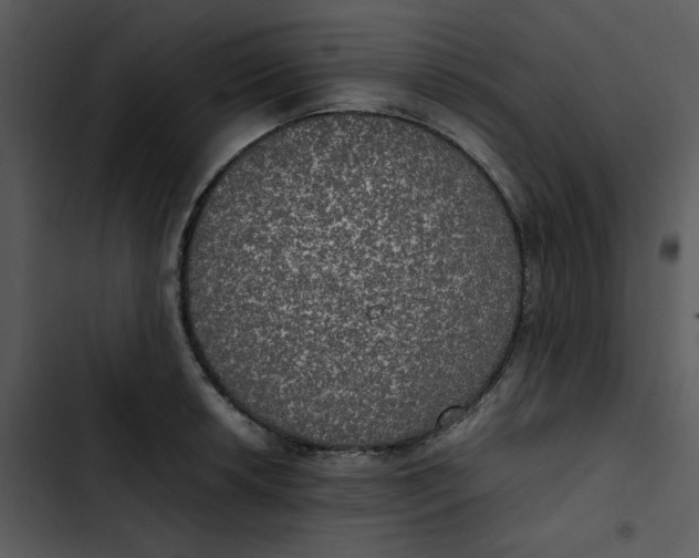 X0000102841042200809081215