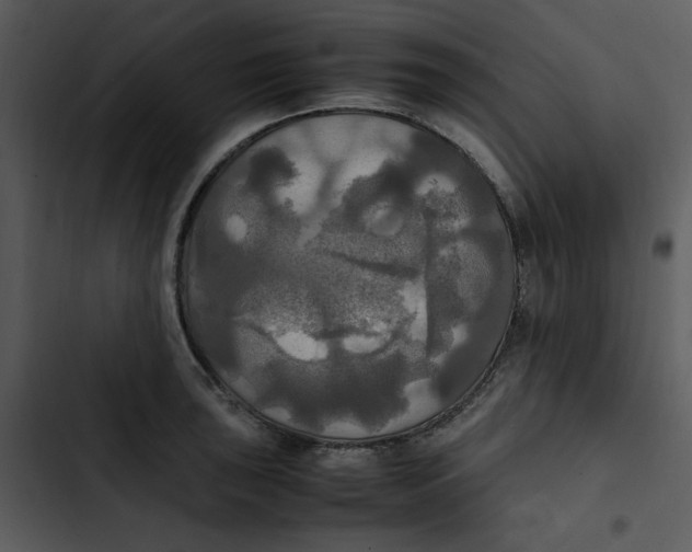 X0000102841043200809081215