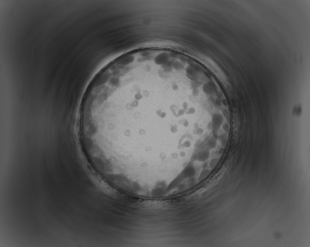 X0000102841044200809081215