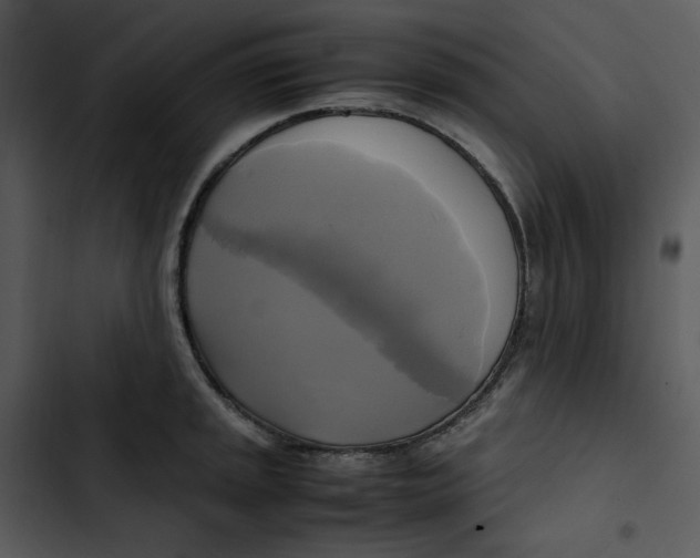 X0000102841045200809081215